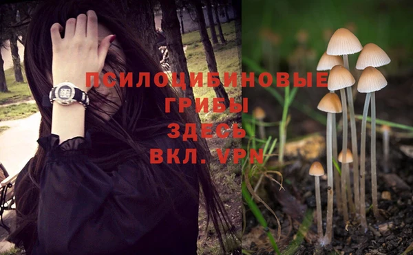 a pvp Арсеньев